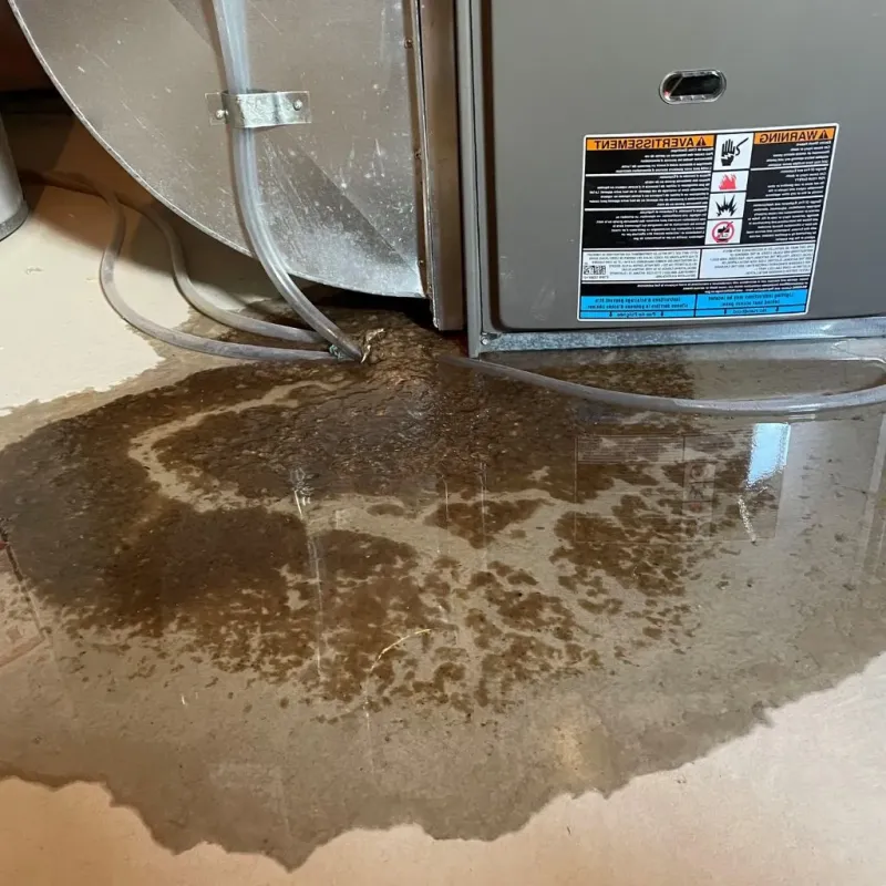 Pipe Burst and Leak Restoration in Mount Hermon, CA