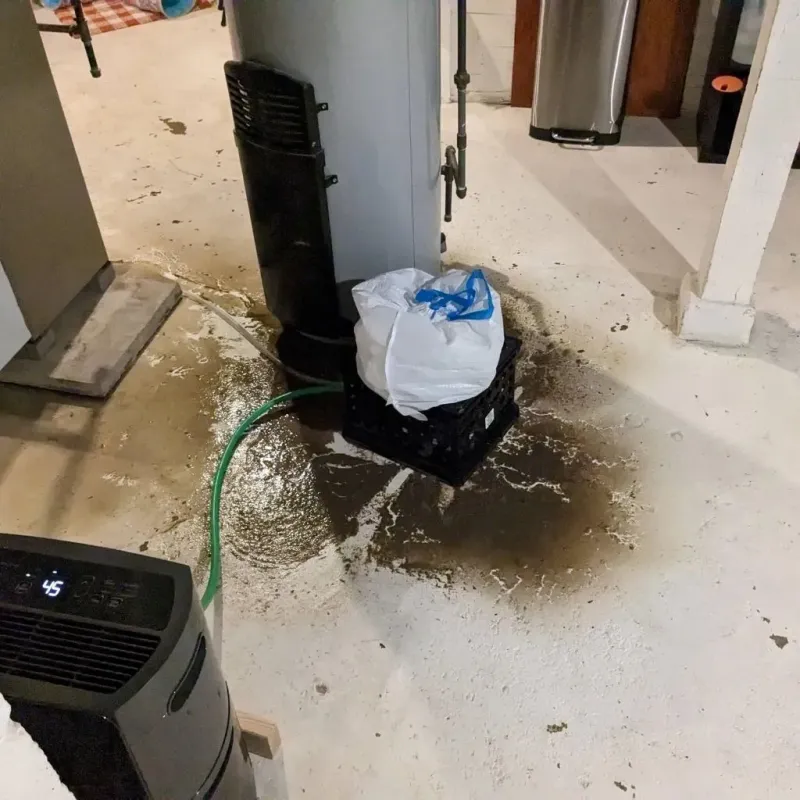Sewage Backup Cleanup Service in Mount Hermon, CA